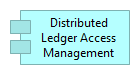 Distributed Ledger Access Management